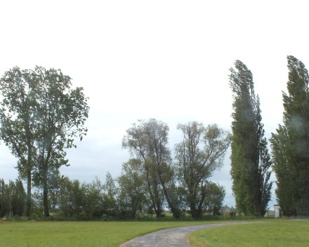 vakantiewoning La Compagnie de Moëres Moerhuisje - binnenplein