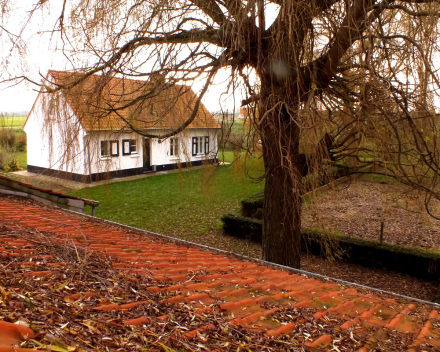 Vakantiewoning 6 persbovenaanzicht moerhuisje winter
