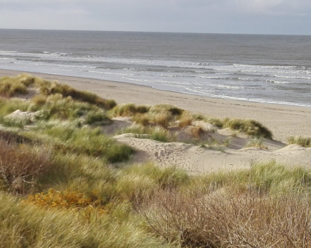 vakantiewoning 'Moerland - ligging dichtbij de zee