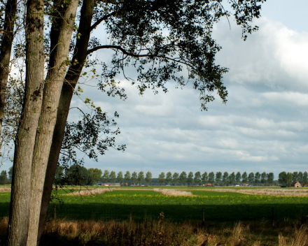 Maison de vacances  La Compagnie des Moëres -  Westhoek - Veurne