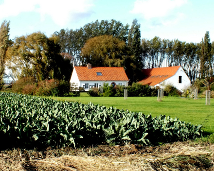 Vakantiewoning 6 pers Moerhuisje